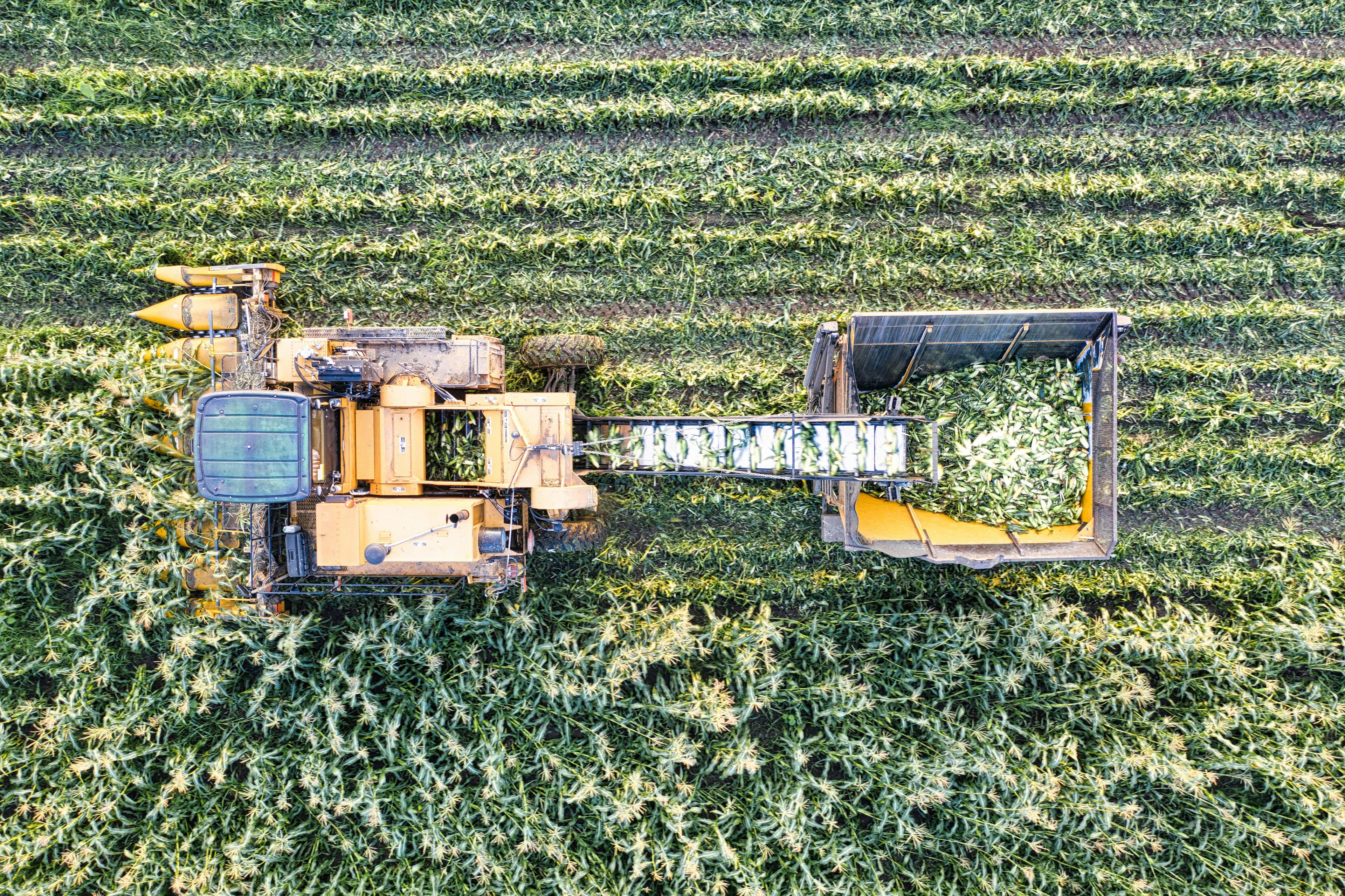Sustainable Farming