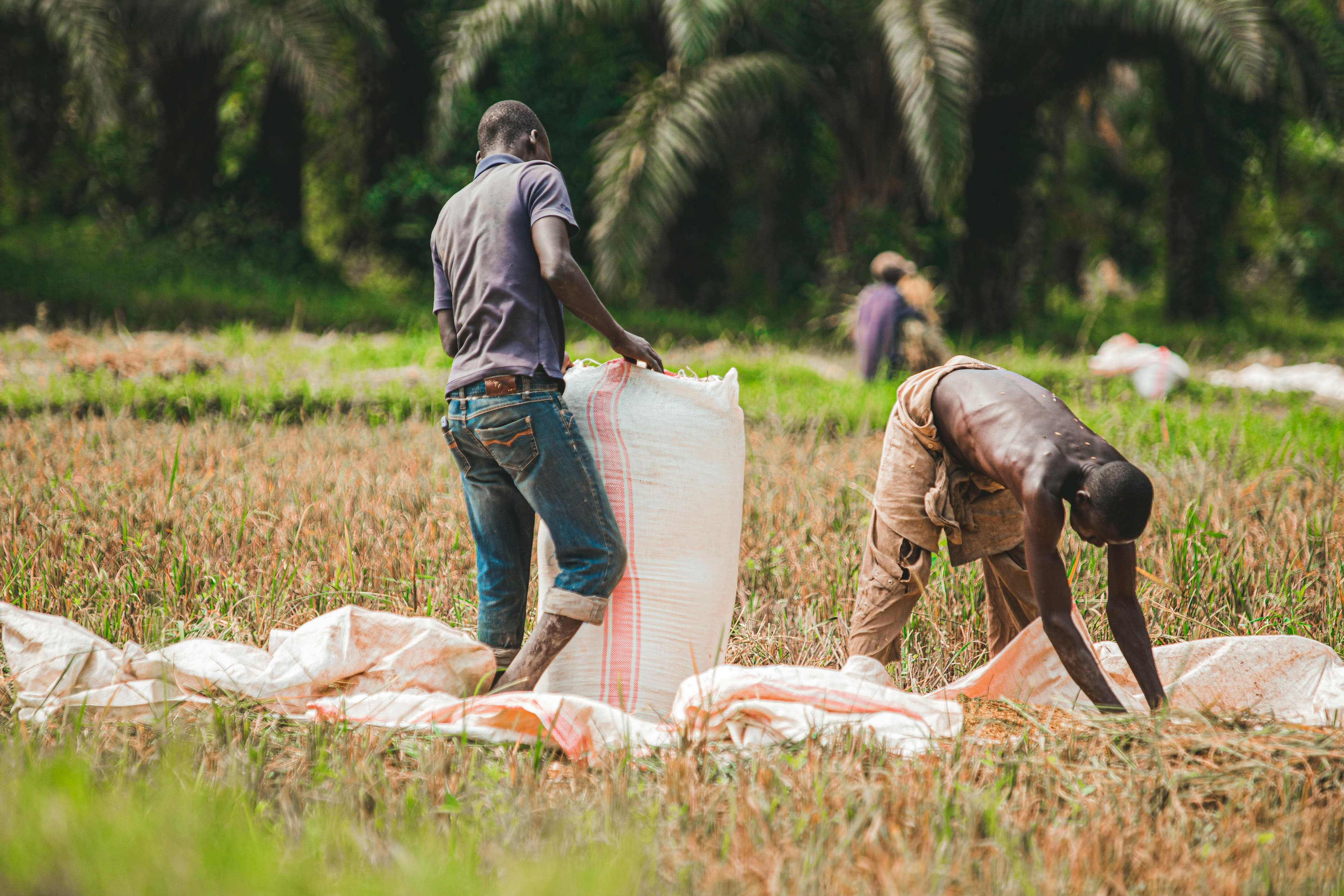 Farm Workers